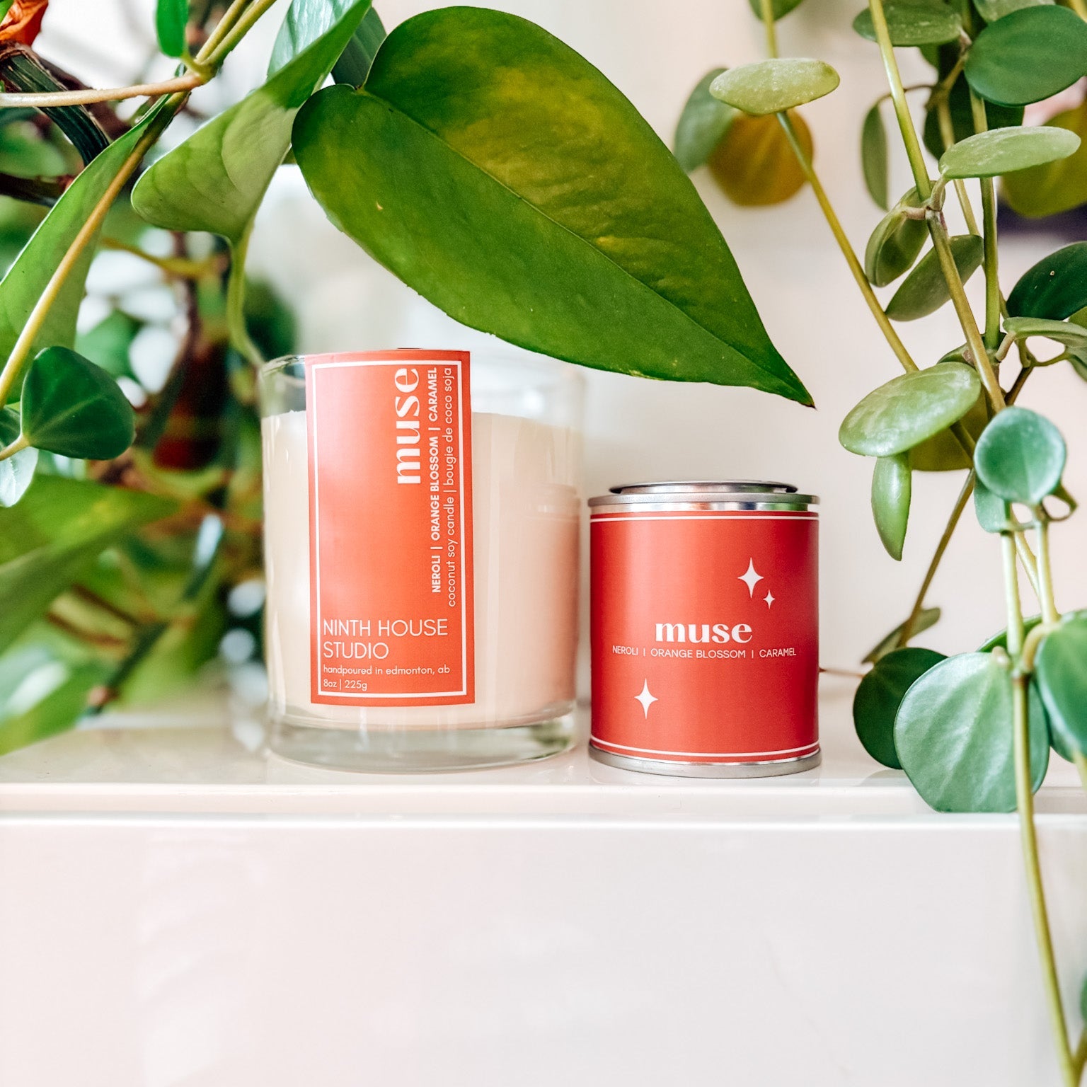 Candle and container with 'muse' branding in a natural setting with green plants.