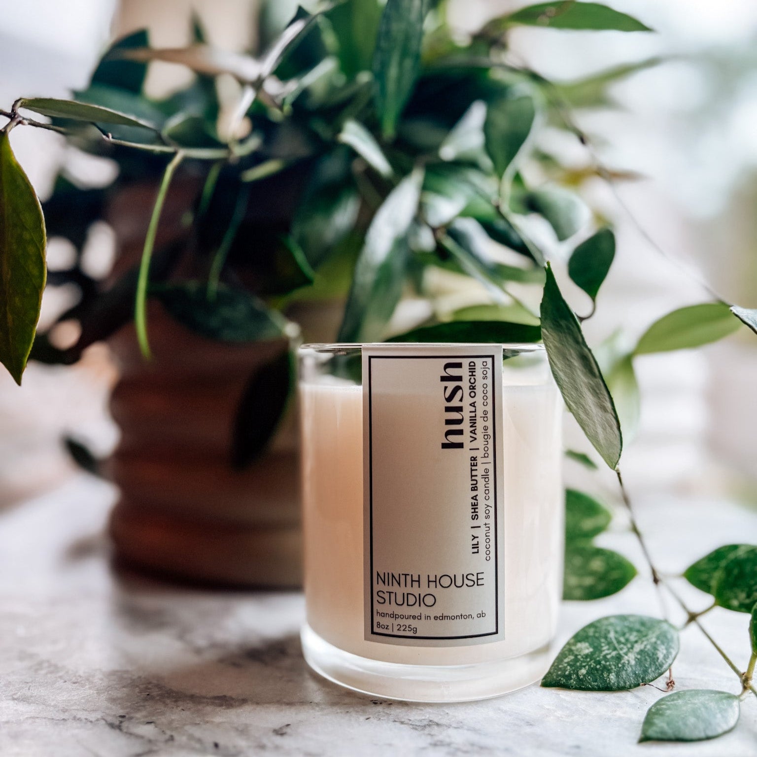 Hush Candle | Lily • Shea Butter • Vanilla Orchid