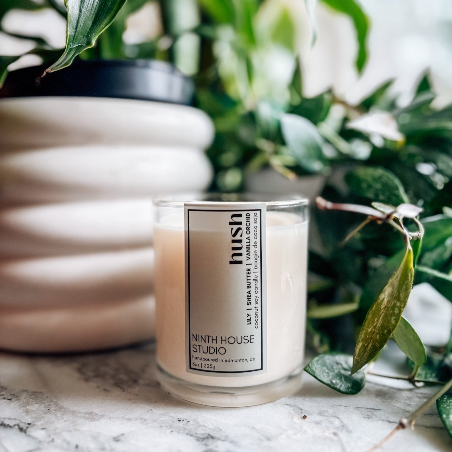Ninth House Studio Hush candle in front of green plants on a marble surface